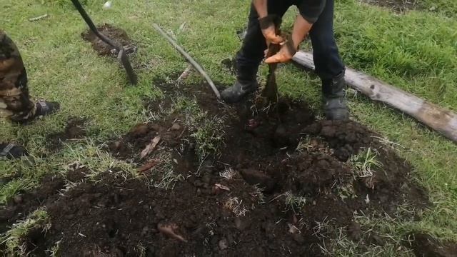 Хороший коп на ферме,топовые находки. смотреть онлайн