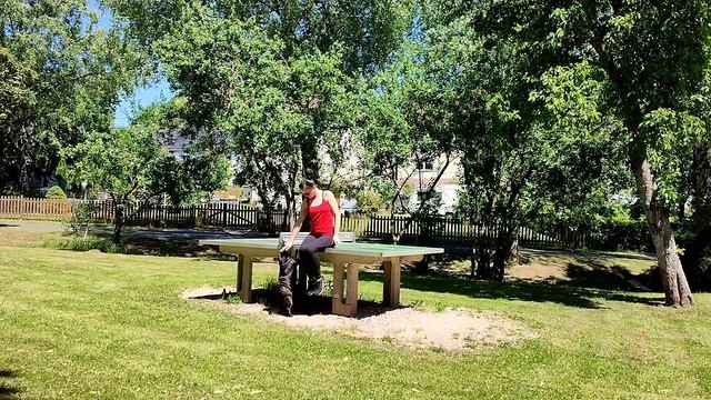 Как живёт мопс в Германии?!!! смотреть онлайн