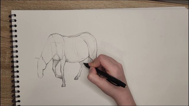 Живописные мотивы: мир художника и его страсти