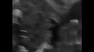 23 Итоговый проект «Избранный воевода земли Российской»-Носова Ольга-г.Тверь ТЕПСОШ