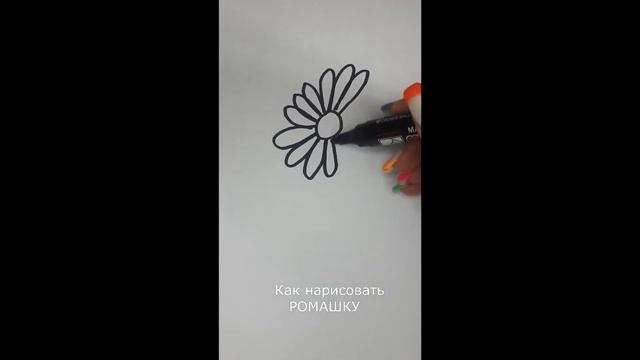 Как нарисовать ромашку. Линейный рисунок смотреть онлайн