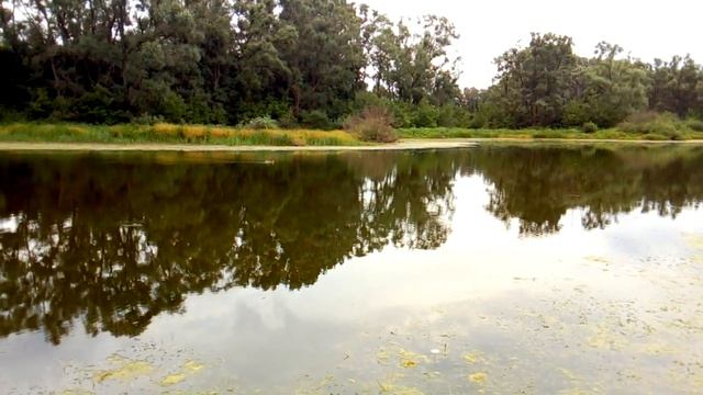 Ловля уток живыми смотреть онлайн
