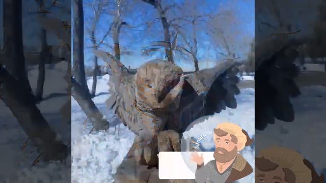 Ух ты, Иркутск! - Птицы