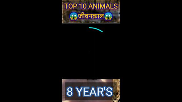 life of animals top 10 😱 ||#vairalshort #animals #viral смотреть онлайн