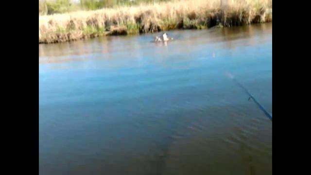 карповая рыбалка смотреть онлайн