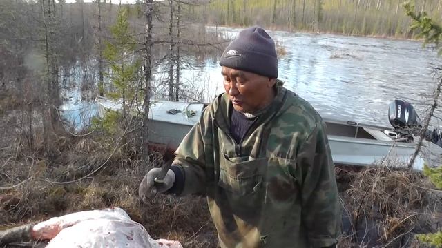 18+!!! Разделываем лося!!! смотреть онлайн