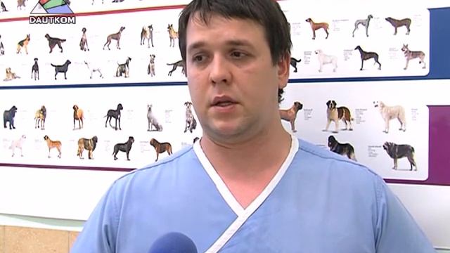 Jaunie MK noteikumi paredz suņus čipot: kā tas tiks ieviests dzīvē смотреть онлайн