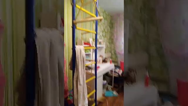 как зовести попугая в клетку. смотреть онлайн