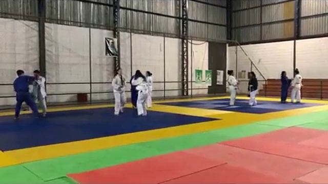 Treinos Judo смотреть онлайн