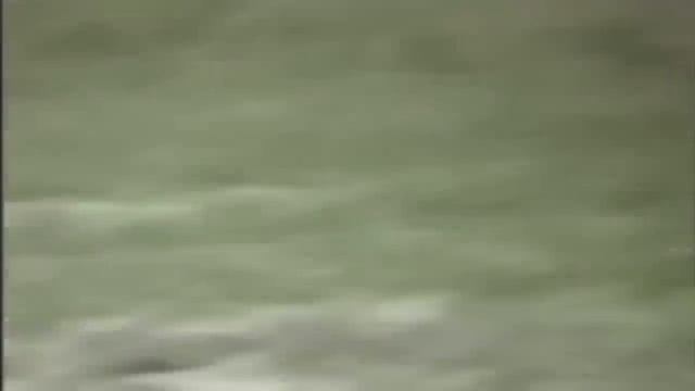 Змея Напала На Корову! Вот Что Было Дальше... смотреть онлайн