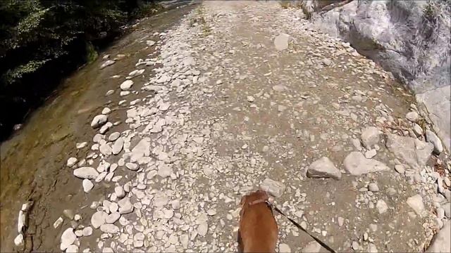 Bridge to nowhere part 1 смотреть онлайн