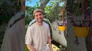 Арас Булут Ийнемли  Интересные факты Личная жизнь Фильмография