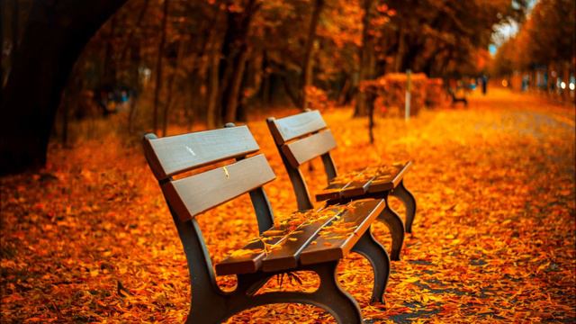 Vivaldi - Autumn III (Allegro) HD