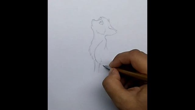 Как нарисовать аниме кошку смотреть онлайн