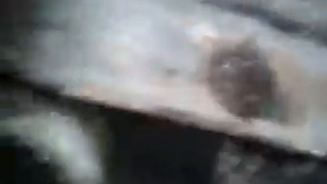 ИЖ 412 течь лючка водяной рубашки смотреть онлайн