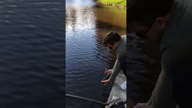 Рыбалка Спб Лето 2022 Василий отпускает Карпа а Шустрый Внук Фёдор снова ловит смотреть онлайн