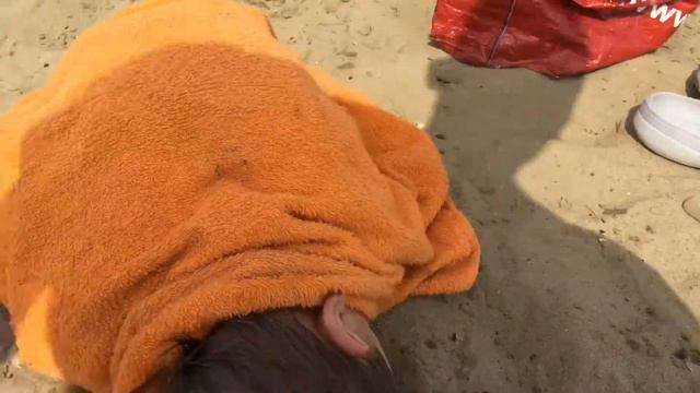 Артёмка так греется... Казань, река Казанка, городской пляж. 20.07.2017, 14:41 смотреть онлайн