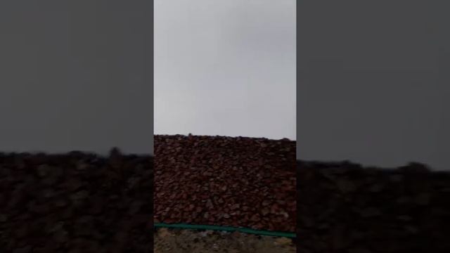 декоративная отсыпка смотреть онлайн