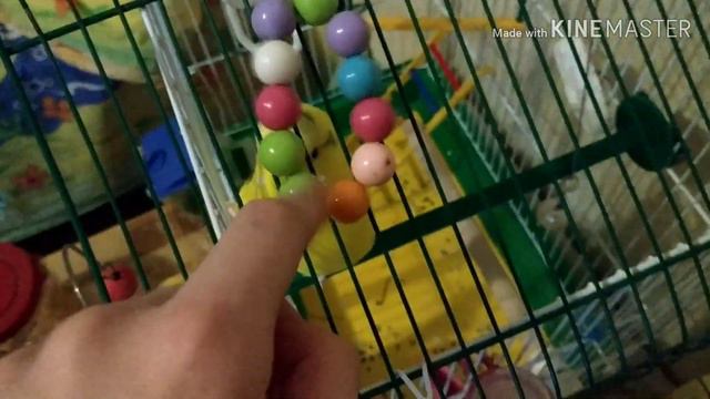 ЛАРРИ КУСАЕТСЯ?! смотреть онлайн