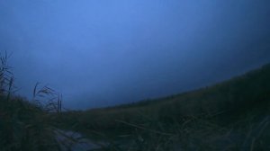 (18 ) ВСЕ УТКИ НАЙДЕНЫ (охота на утку - 2019).mp4