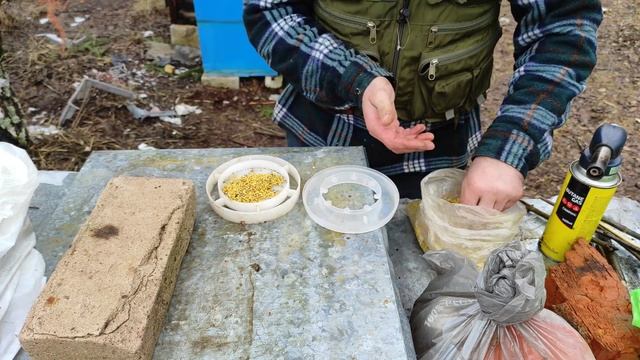 Как разогнать пчёлосемьи весной. Стимуляция пчеломаток к активной яйцекладки пчелиного расплода. смотреть онлайн