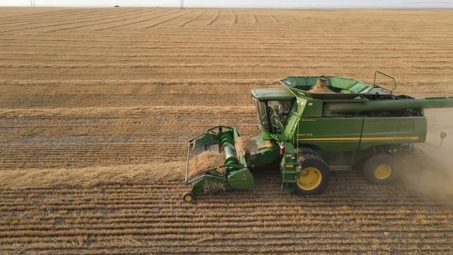 Drought, Saw Flies & Breakdowns! Montana Farming 2022 смотреть онлайн