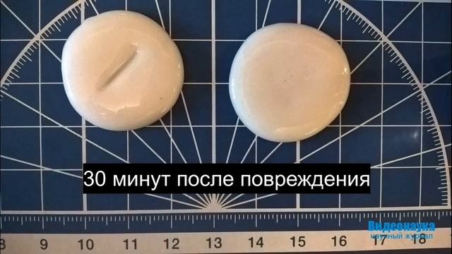 Самовосстанавливающиеся материалы на основе боросилоксана смотреть онлайн