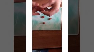 Лепка «Птицы на кормушке».mp4