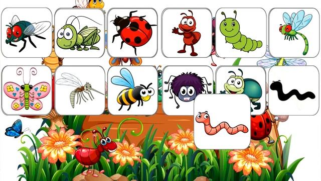 НАСЕКОМЫЕ для детей Карточки Домана // Развивающие мультики для малышей Обучающее видео смотреть онлайн