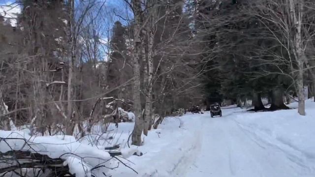 Покатушки в Домбае в феврале 2022 смотреть онлайн