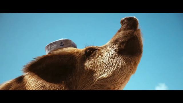 Angry Birds 2 - Angry is Back Teaser 2 (Android/iOS) | Official Mobile Game (2015) смотреть онлайн