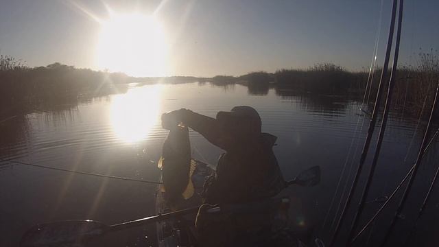 KBF TRAIL CALIFORNIA DELTA #2 GAME DAY смотреть онлайн