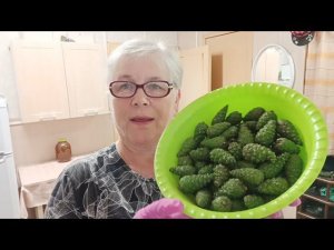 Ездили за сосновыми шишками. / Заезжали к сватам за мёдом .