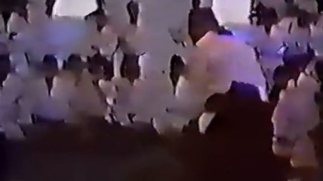 Айкидо, Стивен Сигал (1990)