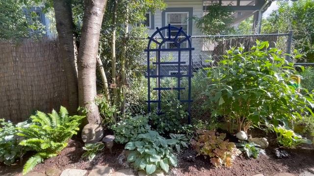 Adding A Hydrangea Petiolaris + More Perennials To My Part-Shade Garden