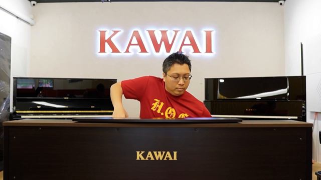 Bella Poarch - Dolls Piano by Ray Mak Ft. Kawai CA701 Digital Piano смотреть онлайн