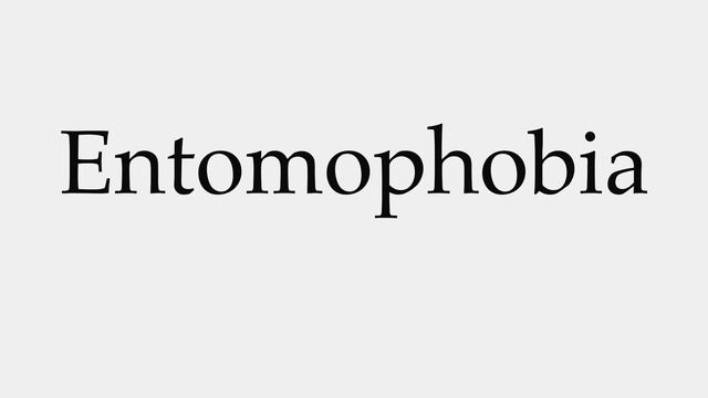 How to Pronounce Entomophobia смотреть онлайн