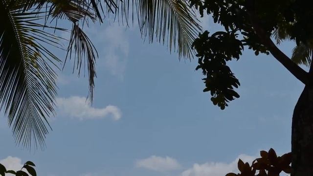 Time lapse with nikon d5600 смотреть онлайн