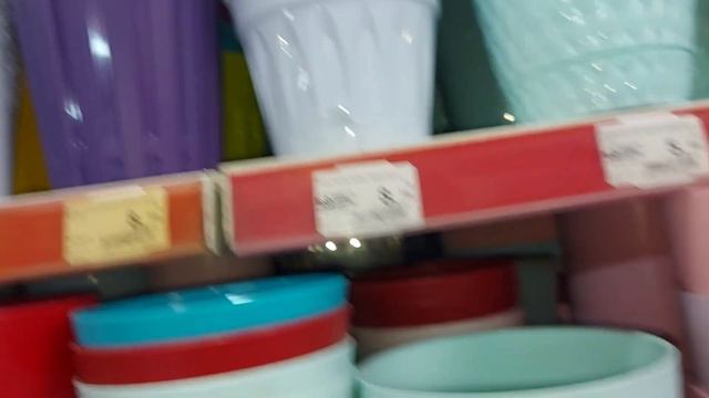 Çiçeklerime Saksı Almaya Gittim Hepsi Birbirinden Güzel Hangi Çiçek⚘ Hangi Saksıda Olmalı смотреть онлайн