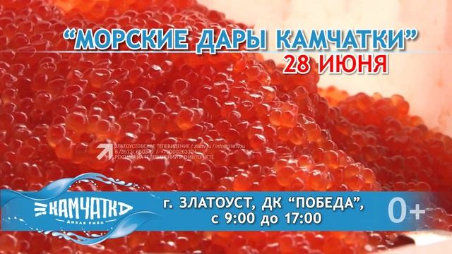 "ВЕСТНИК" 23.06.2022 смотреть онлайн