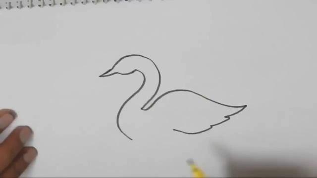 How to draw a Swan- in easy steps for beginners смотреть онлайн