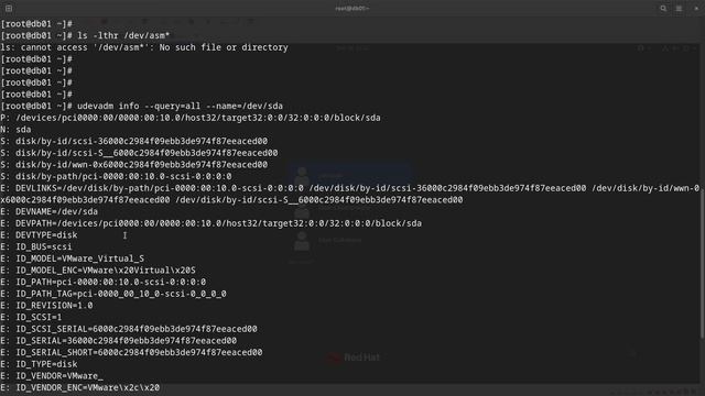 Red Hat 8: How to Create Oracleasm Disks Using UDEV Rules смотреть онлайн