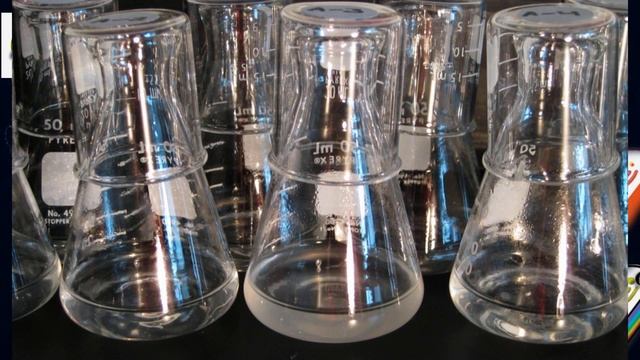 Эволюция. Одноклеточные организмы. По Новым знаниям смотреть онлайн