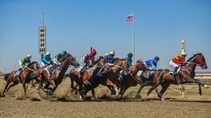 СКАЧКИ НА КУБОК ГУБЕРНАТОРА КРАСНОДАРСКОГО КРАЯ 24.08.2024г.