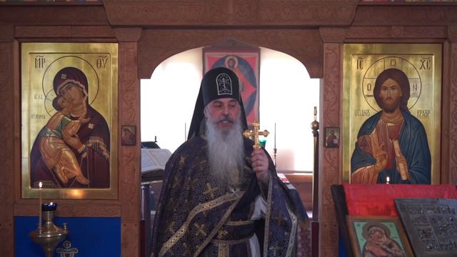 Свободу извращенцам! смотреть онлайн