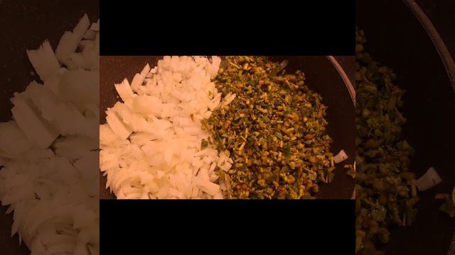 Мир в разнообразии