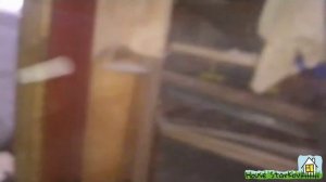 Можно ли поселить кур с индюками? Переезд в курятнике.