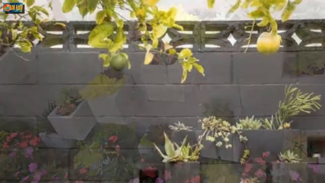 14 идей использования шлакоблока на даче. смотреть онлайн