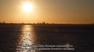 К чему снится белый снег? Толкование сна и его значение по сонникам Ванги и Фрейда