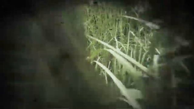 A walk-through of THE DEFECTOR Interactive Web-Doc - Wo ... смотреть онлайн